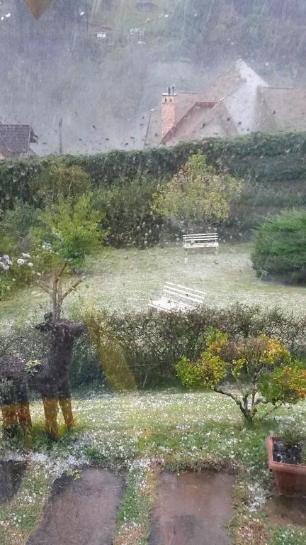 Campos do Jordão Pousada Toca Dos Tucanos מראה חיצוני תמונה