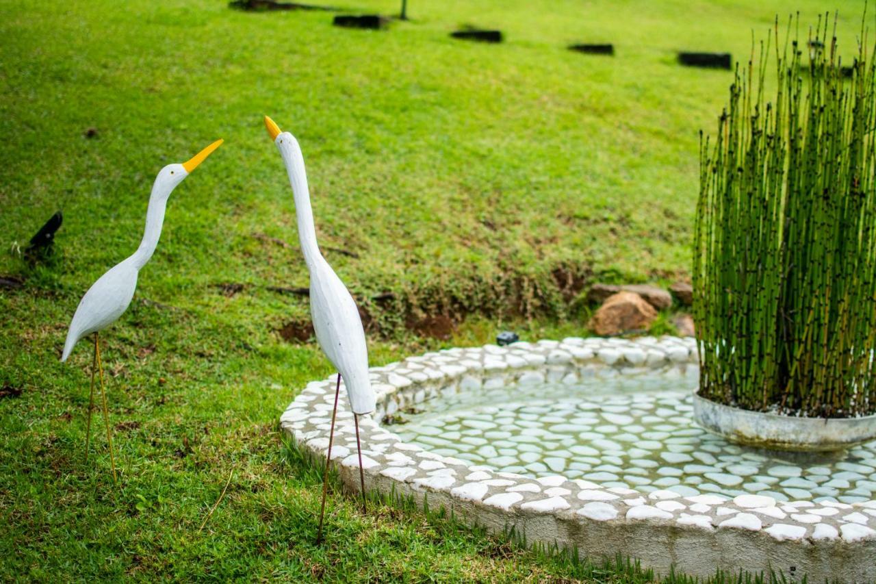 Campos do Jordão Pousada Toca Dos Tucanos מראה חיצוני תמונה